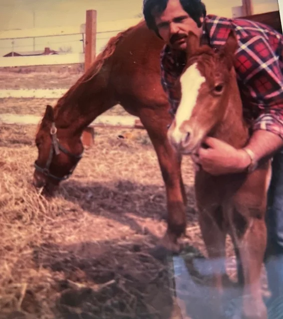 288054 77911e5ceb174044a37c918600738376mv2